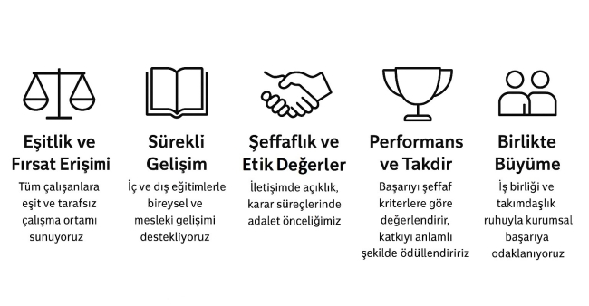 Image 7 May 2025 13_41_45